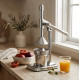 Fruit Juicer